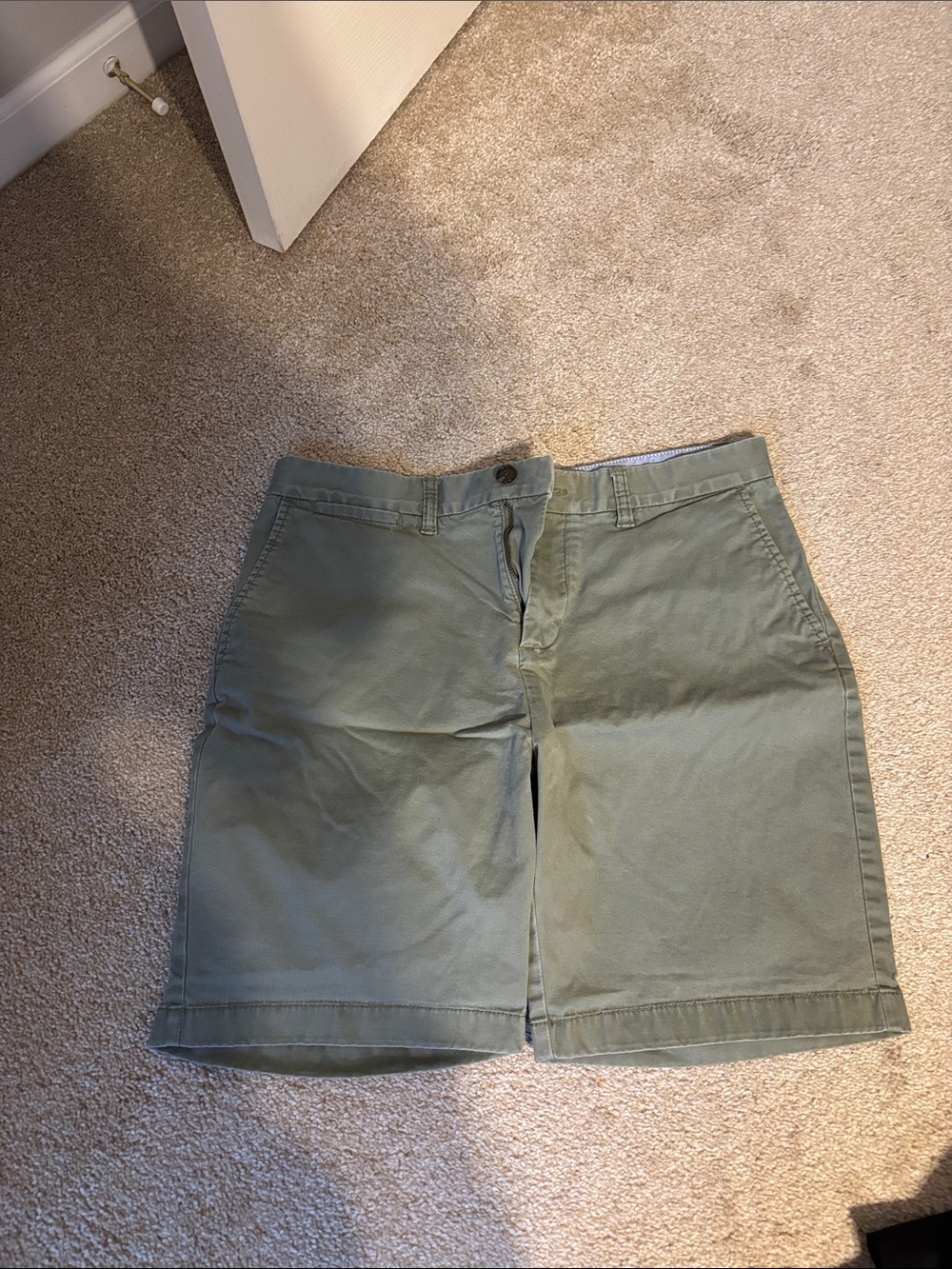 Tommy Hilfiger Olive Green Shorts with Signature Trim